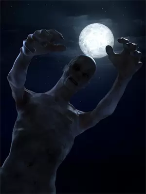 我的相亲博士男友