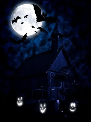 未婚夫悔婚十次后，我成了大佬的娇妻